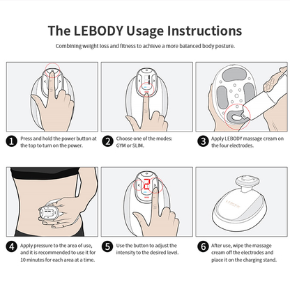 LEBODY Form Body Massager Basic Kit